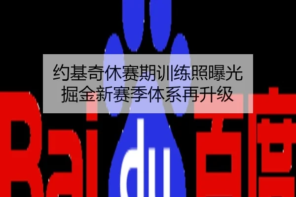 约基奇休赛期训练照曝光 掘金新赛季体系再升级